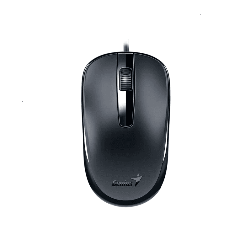 Mouse Genius DX-120,USB-C,Black